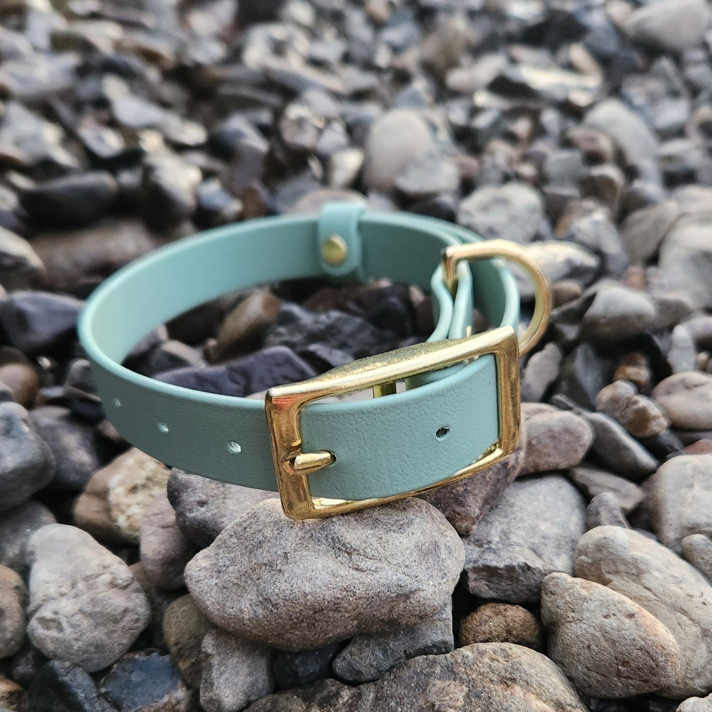 BioThane Luna Collar - Pistachio