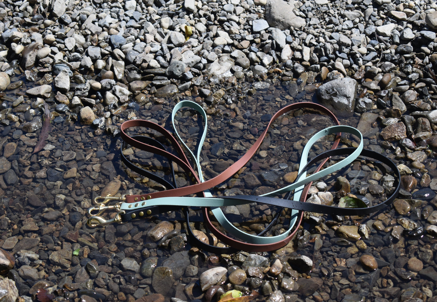 BioThane Luna Leash - Pistachio
