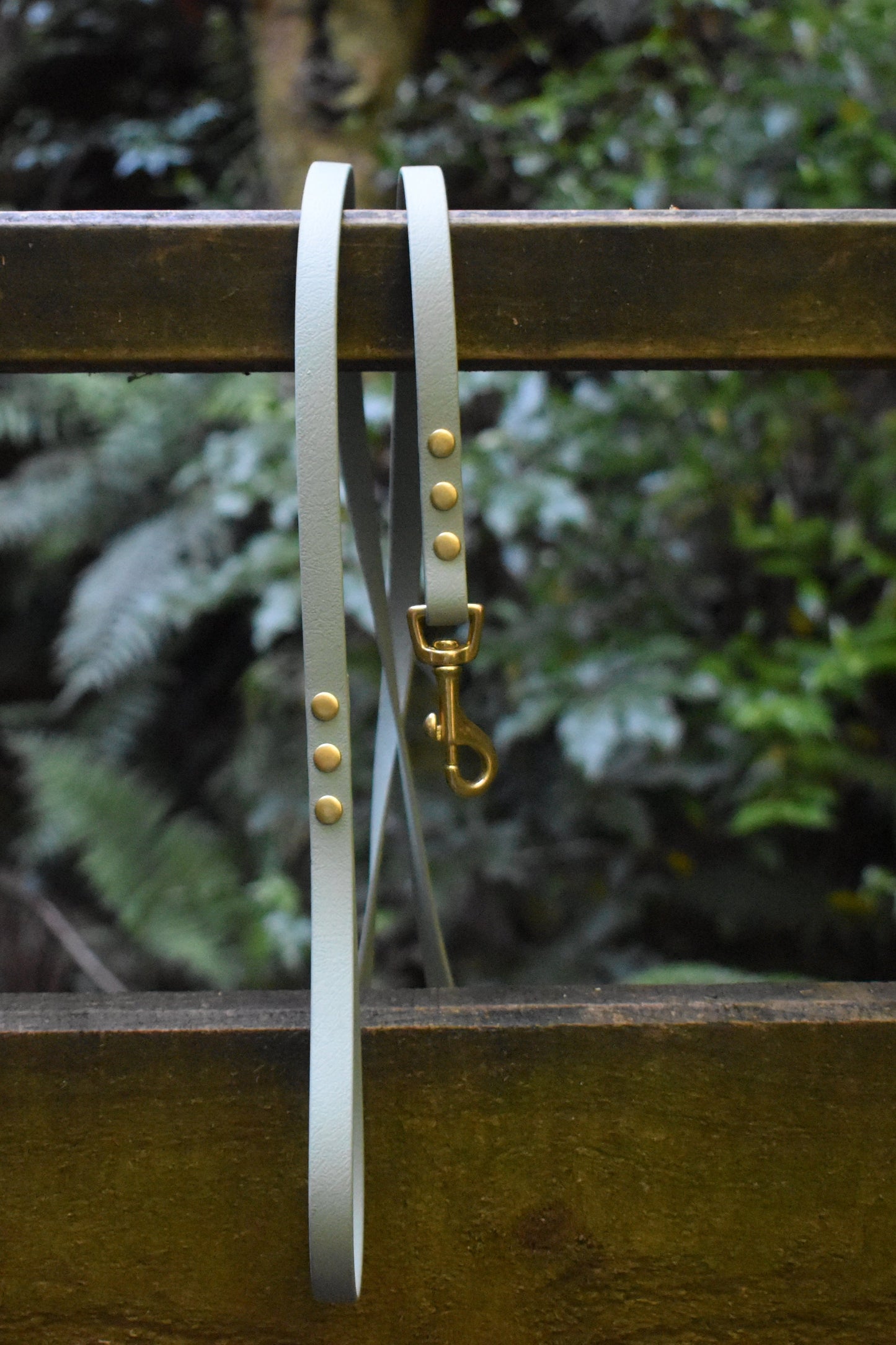 BioThane Luna Leash - Pistachio