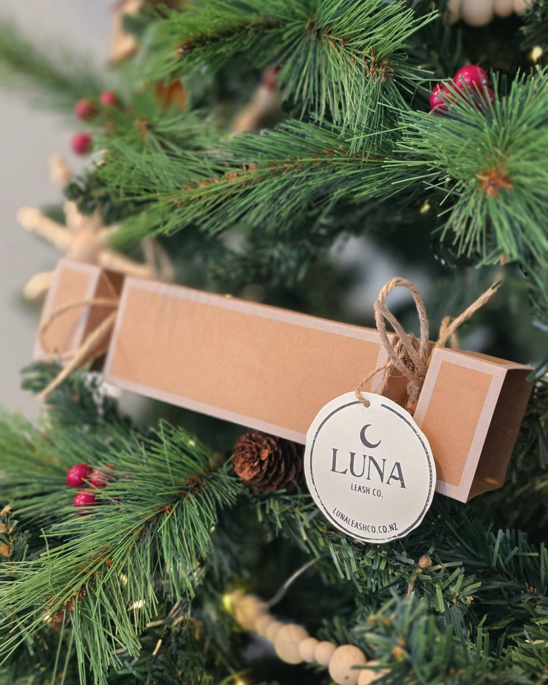 Beef Christmas Cracker