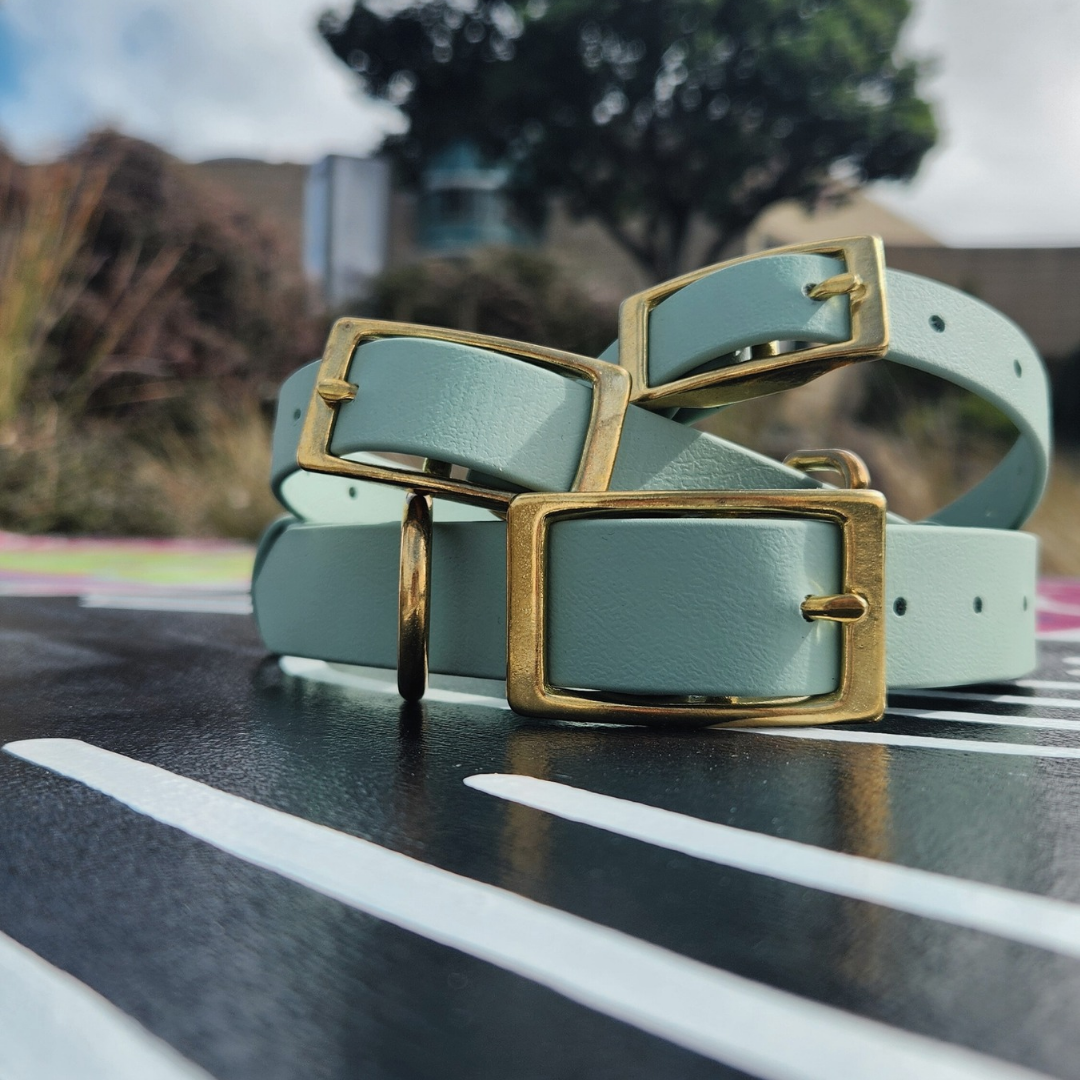 BioThane Luna Collar - Pistachio