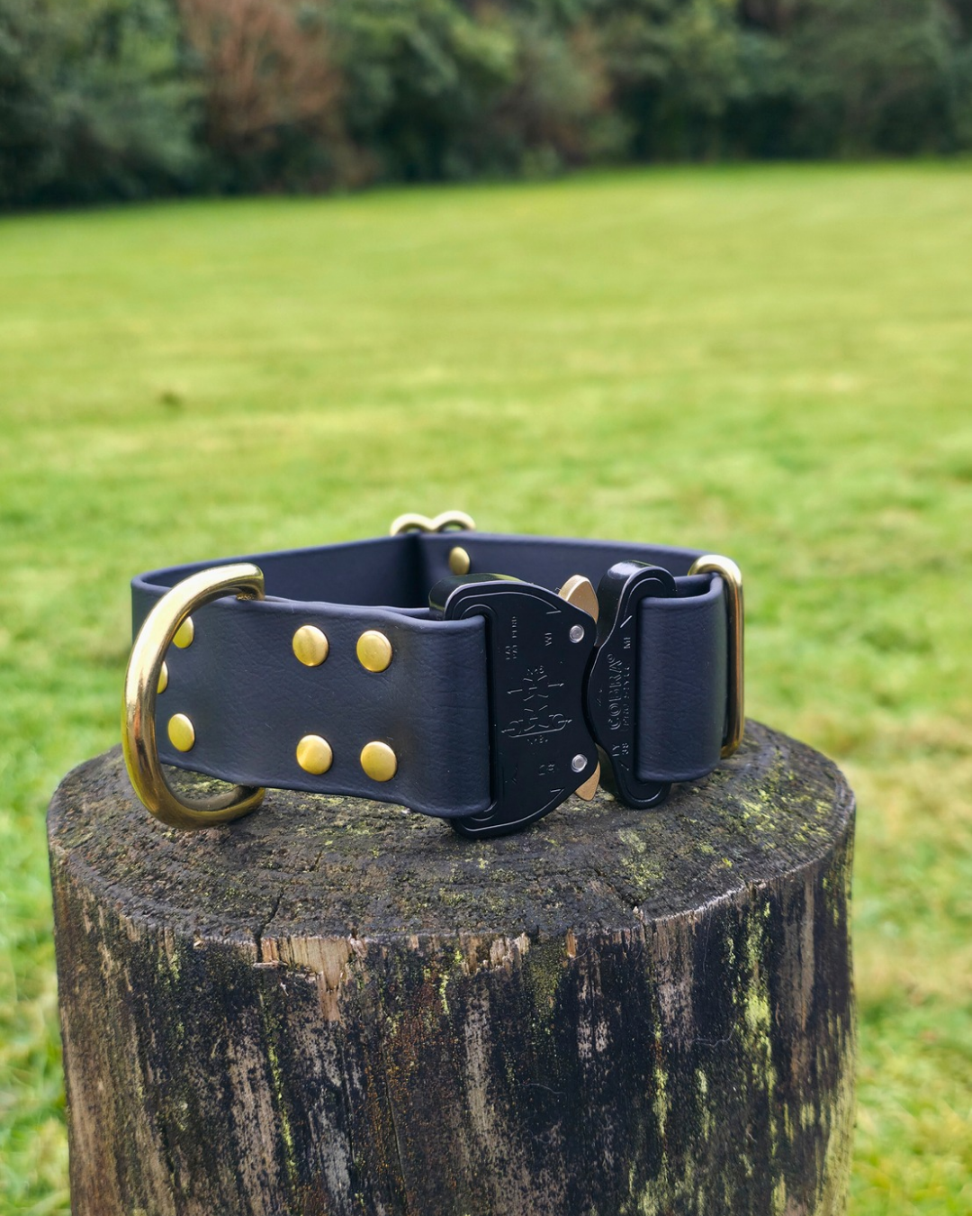Eclipse Quick Release Collar
