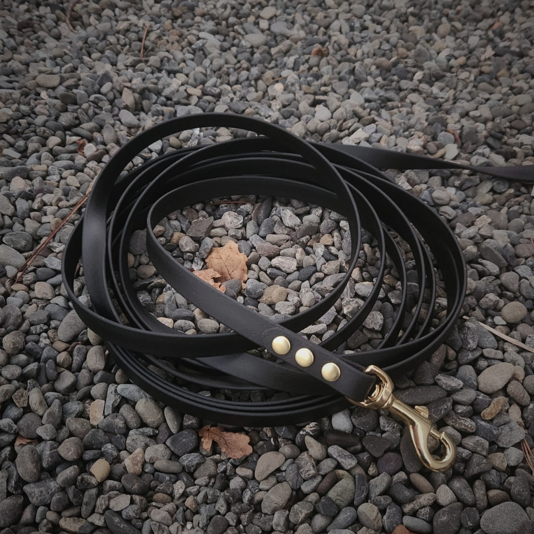Biothane Long Line Adventure Leash 5m
