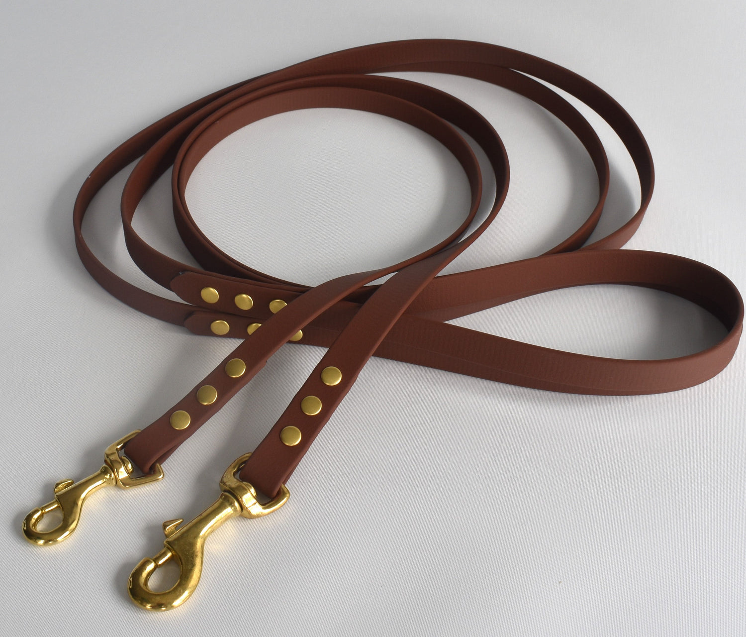 BioThane Leashes
