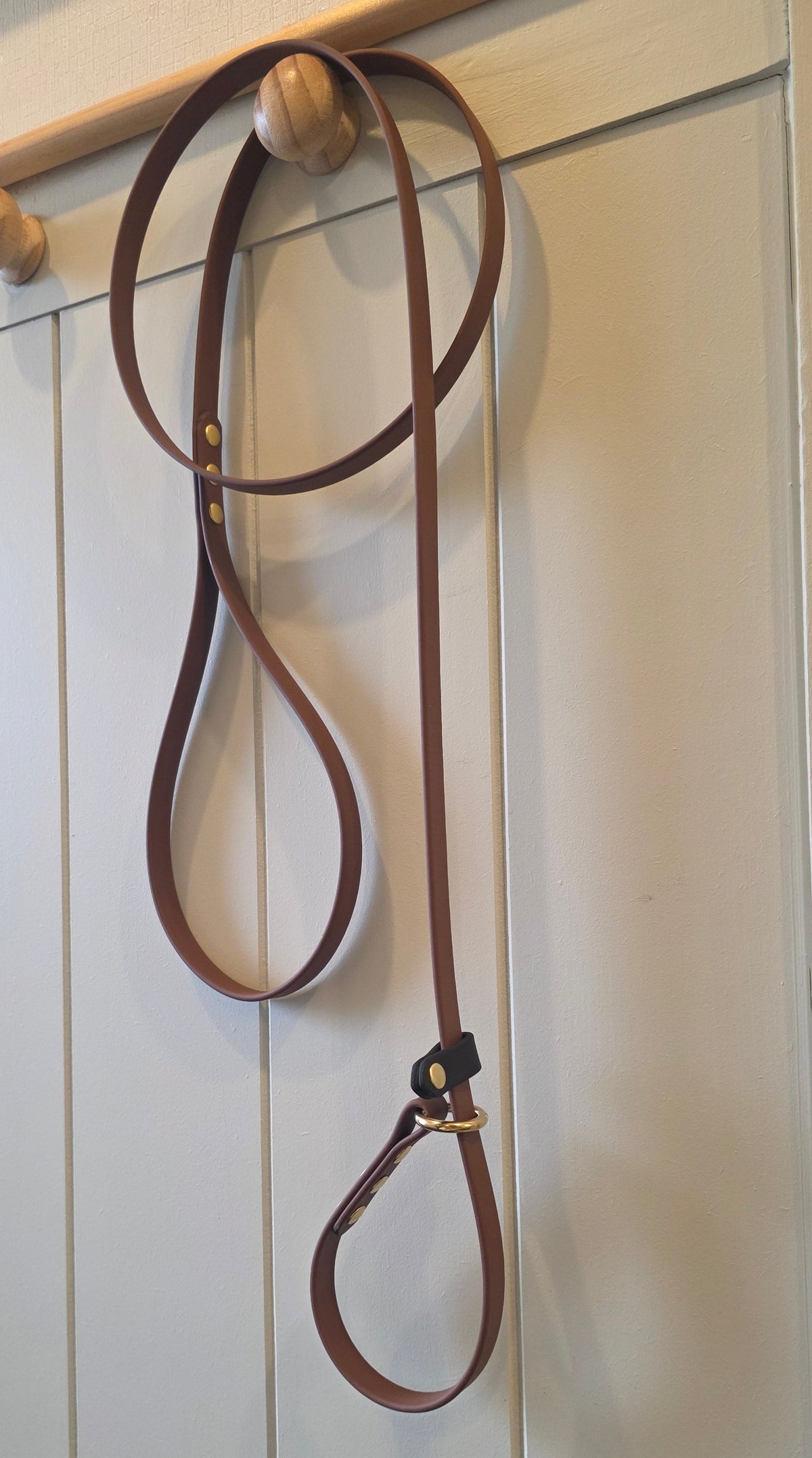 BioThane Luna Slip Leash