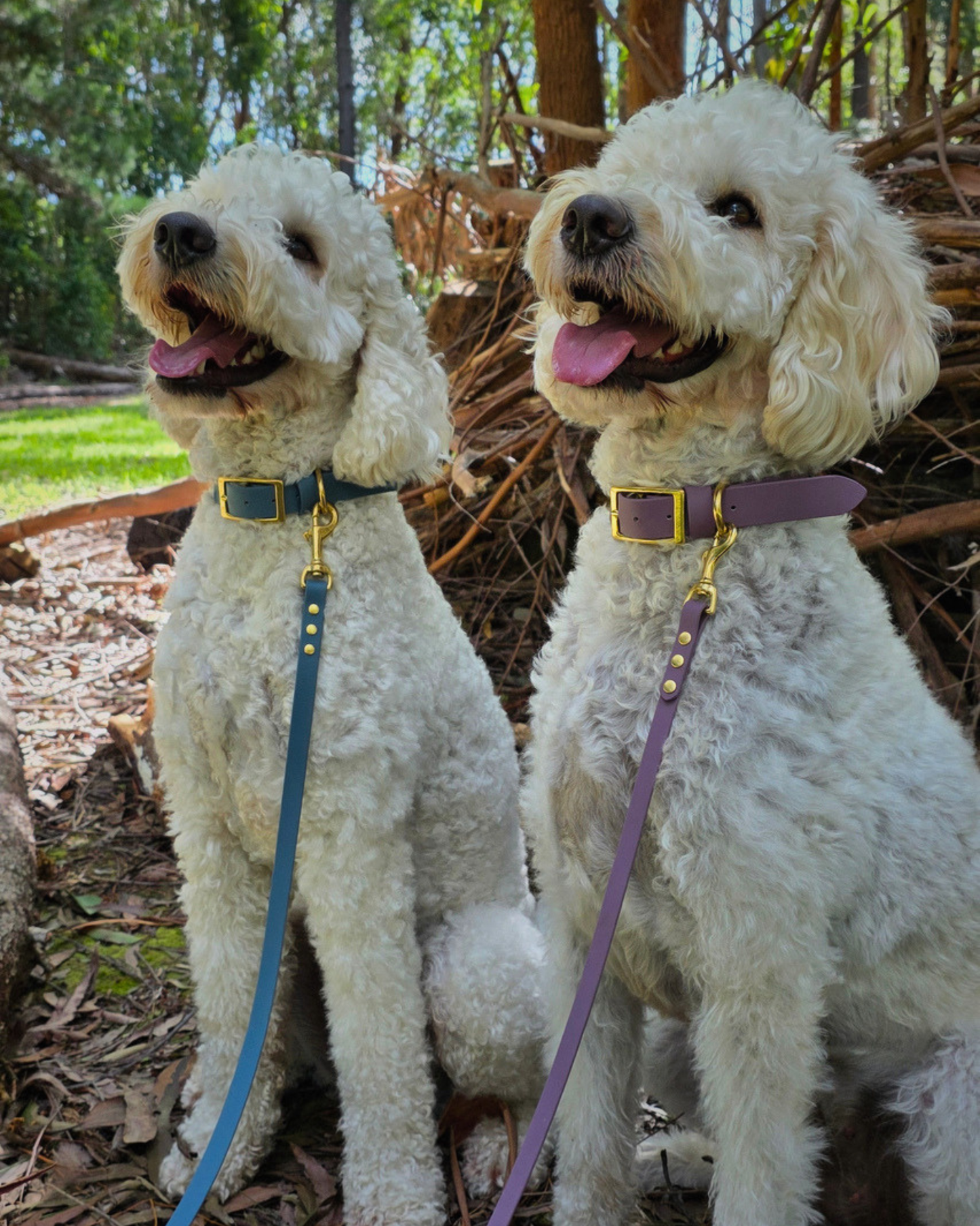 Luna Collar and Leash Set