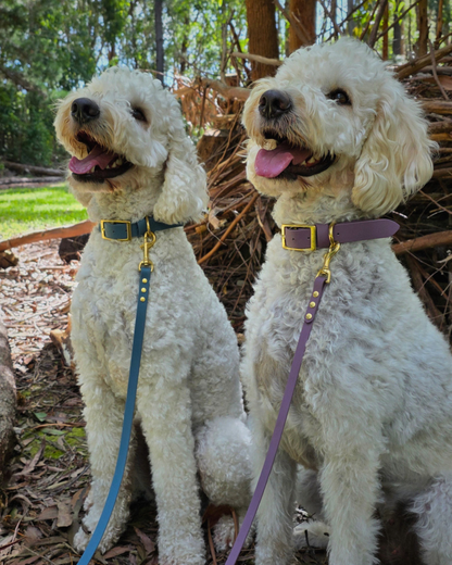 Luna Collar and Leash Set