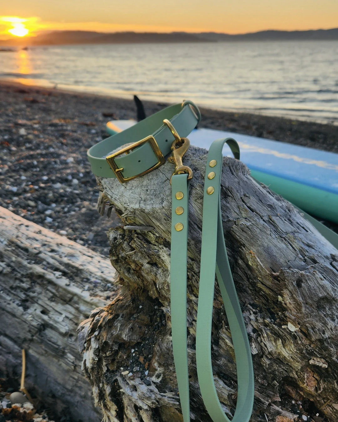 Luna Collar and Leash Set