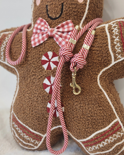 Candy Cane Lane Dog Leash