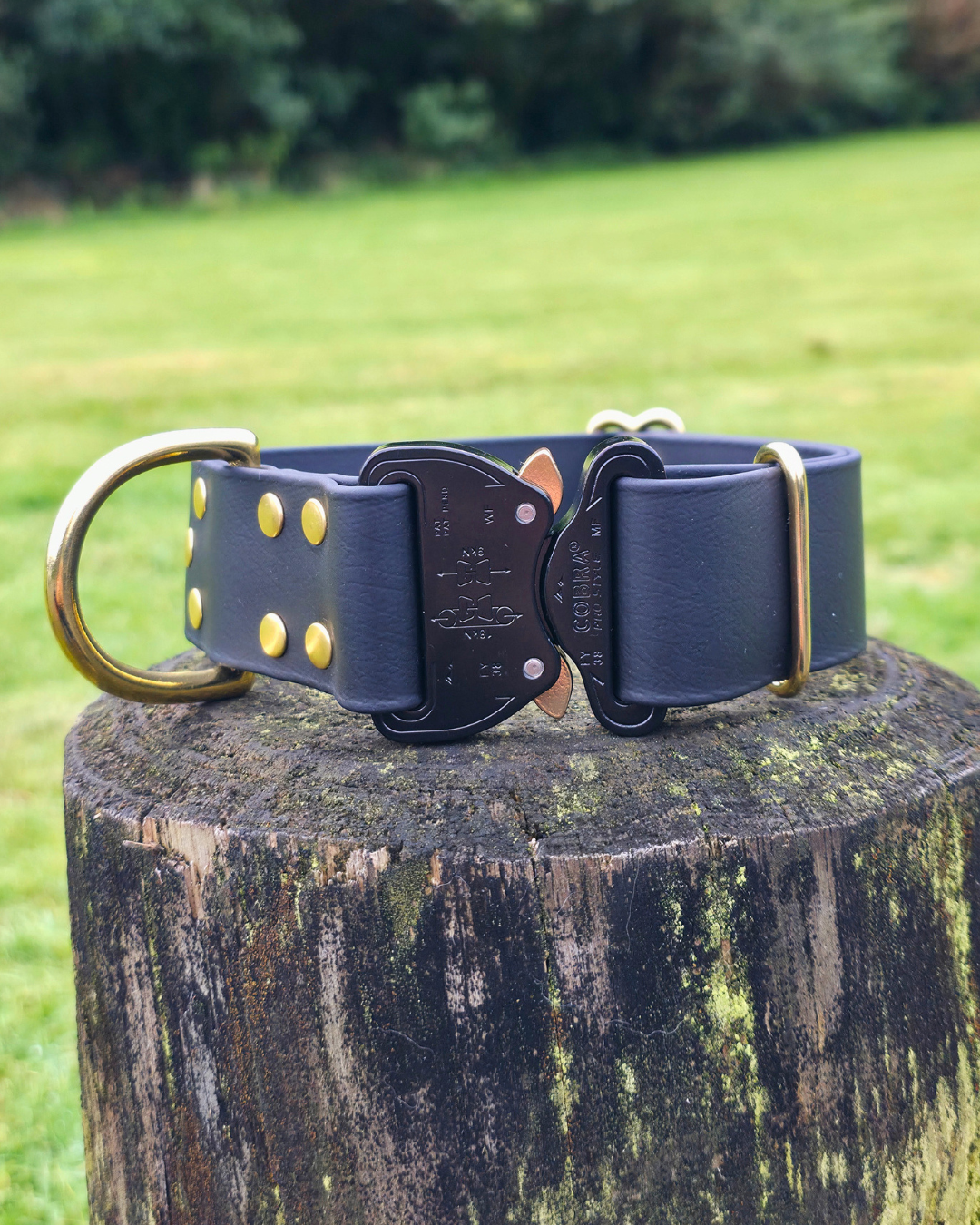 Eclipse Quick Release Collar