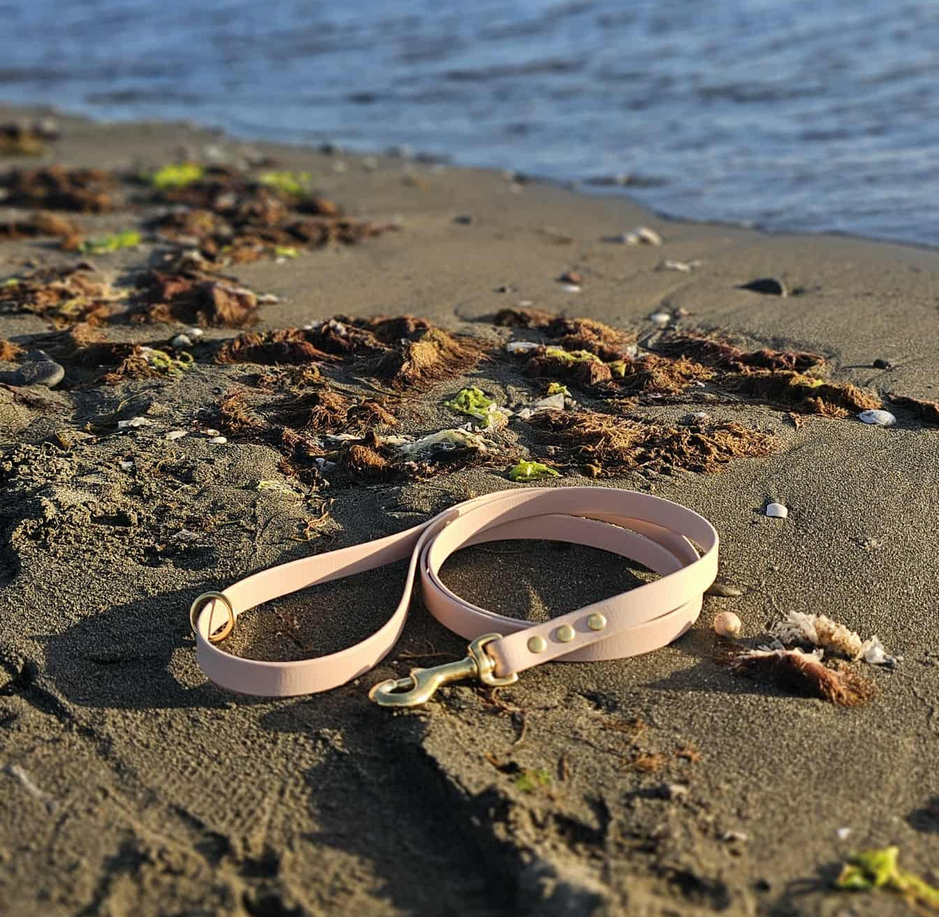 BioThane Luna Leash - Almond