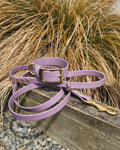Luna Collar and Leash Set