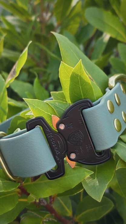 Eclipse Quick Release Collar