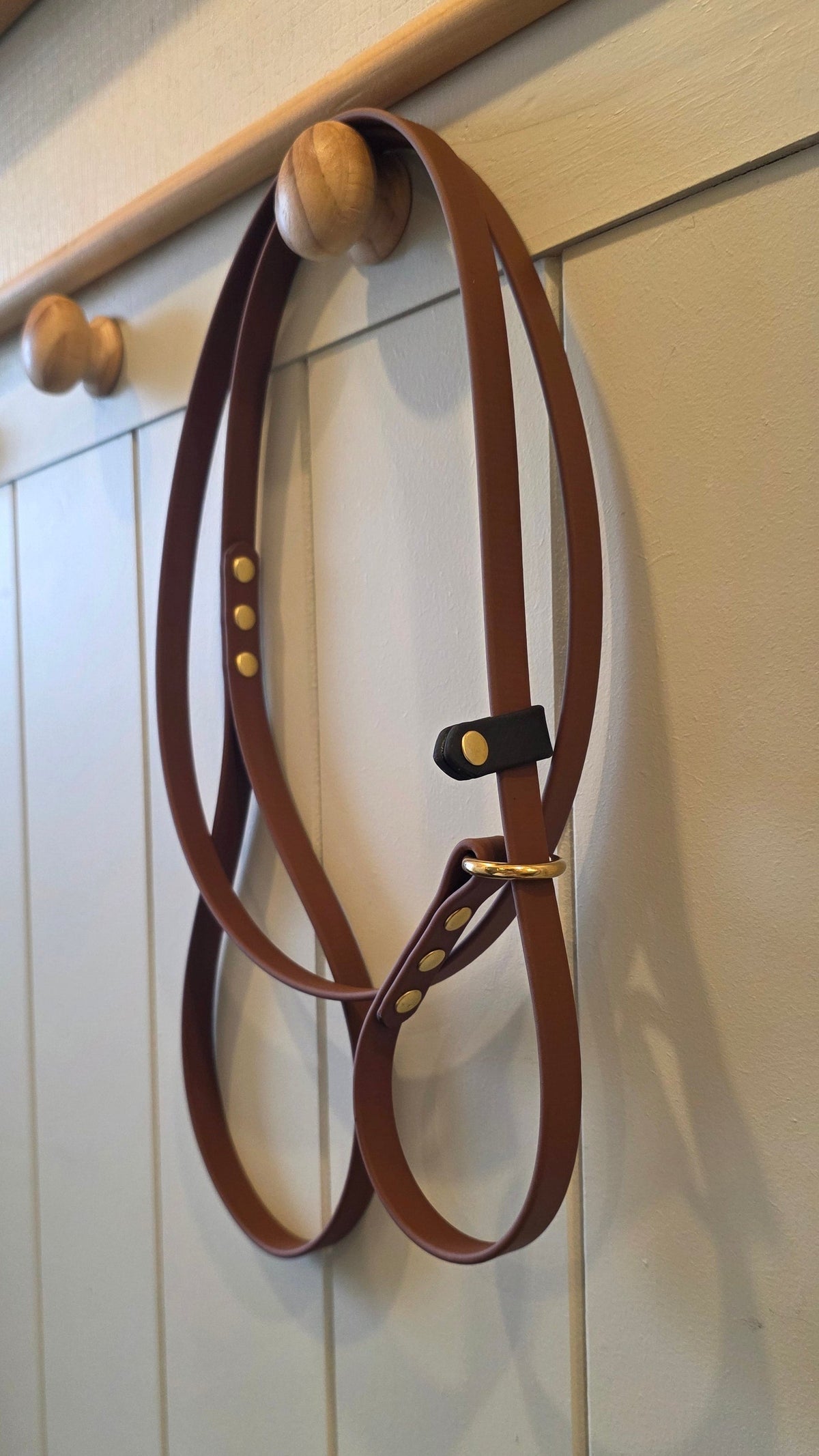 BioThane Luna Slip Leash