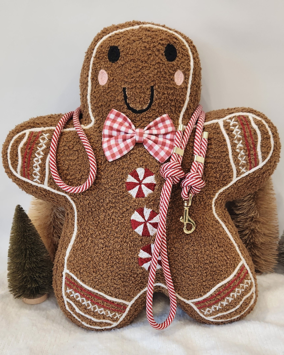 Candy Cane Lane Dog Leash