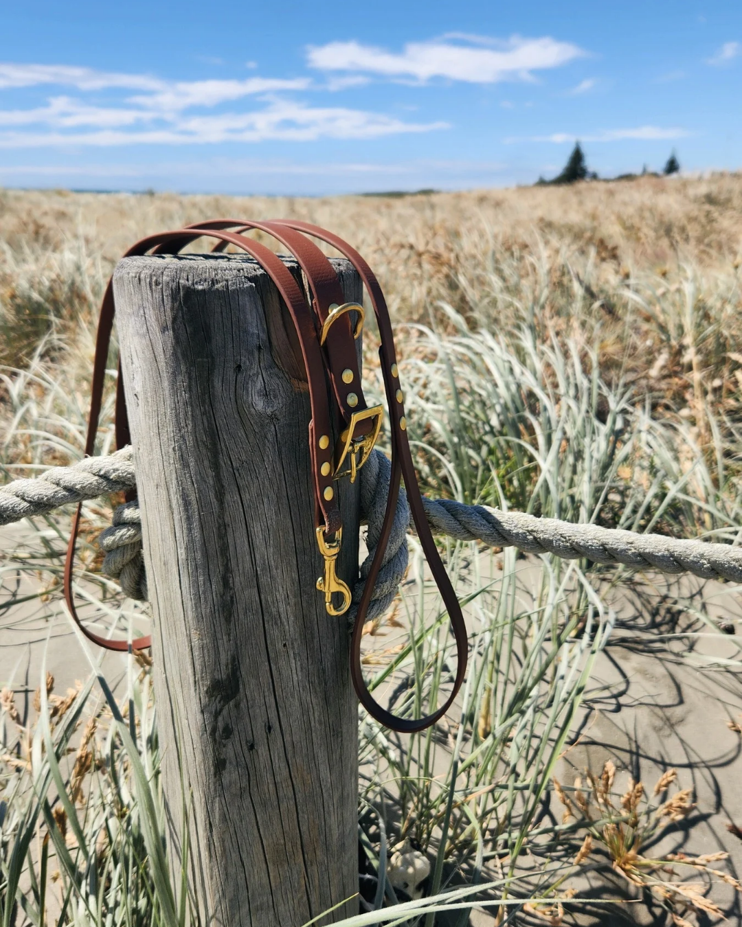 Luna Collar and Leash Set