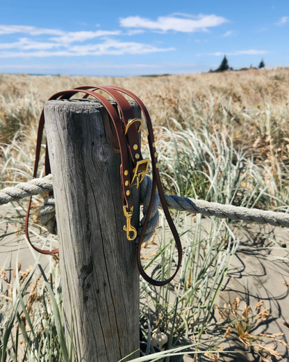 Luna Collar and Leash Set