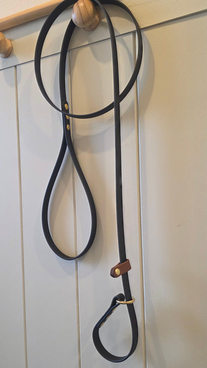 BioThane Luna Slip Leash