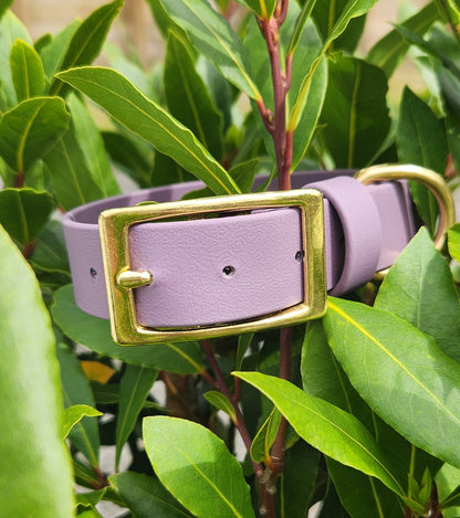 BioThane Luna Collar - Heather