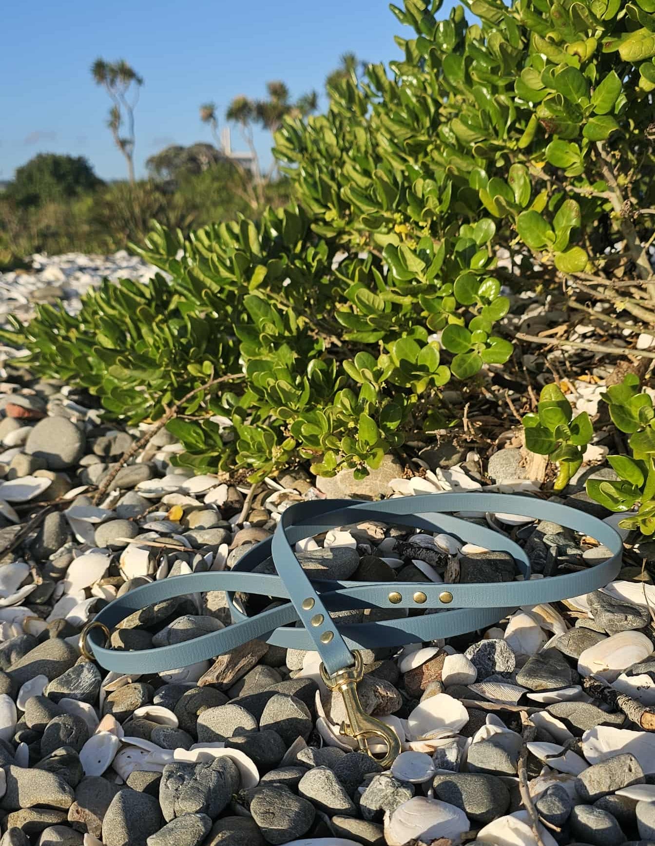 BioThane Luna Leash - Steel