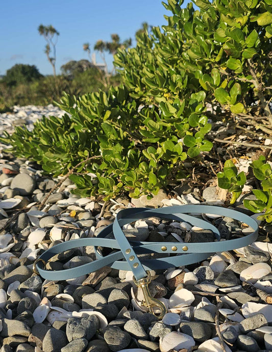 BioThane Luna Leash - Steel