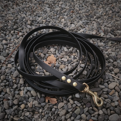 Biothane Long Line Adventure Leash 8m